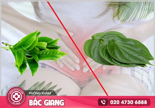 Chuyên gia giải đáp - Cách trị bệnh khí hư tại nhà