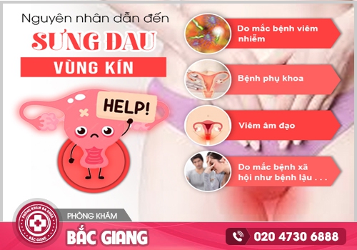 Những điều cần biết về cách chữa đau rát vùng kín tại nhà