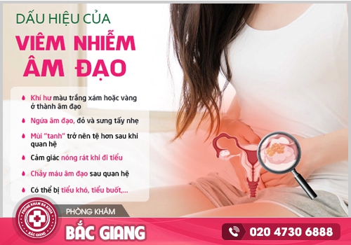nguyên nhân dấu hiệu và cách điều trị viêm âm đạo
