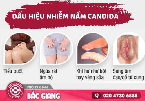 nấm candida ở nữ