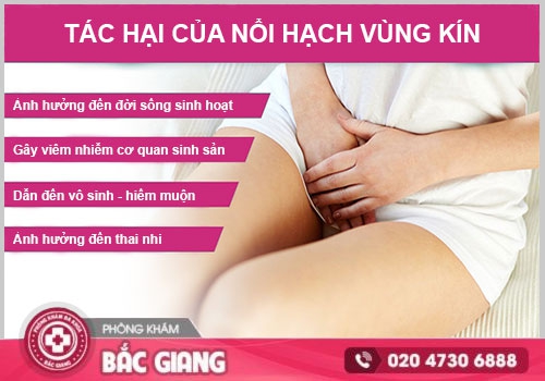 nổi hạch ở vùng kín