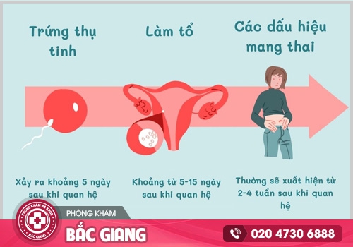 Quan hệ bao lâu có thai? Cách xác định mang thai sớm