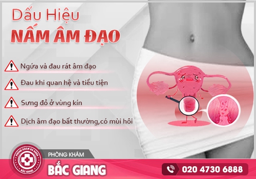 Các loại thuốc trị nấm Candida tại nhà được sử dụng phổ biến
