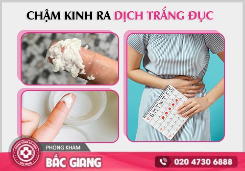 Trễ kinh ra dịch trắng đục xảy ra do nhiều nguyên nhân khác nhau. trễ kinh ra dịch trắng đục