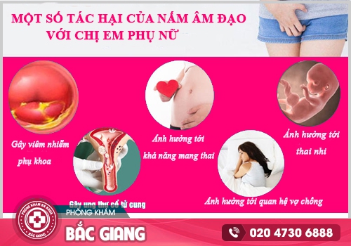 Bệnh nấm Candida gây ra nhiều ảnh hưởng đến sức khỏe nữ giới. nấm candida ở nữ