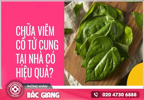 Trị viêm cổ tử cung tại nhà như thế nào?